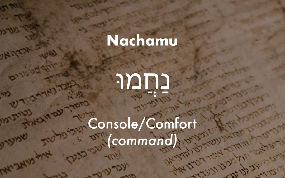 Nachamu: Console/Comfort (command)