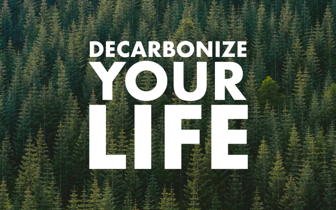 Mishkan Sustainability Team Tu B'Shevat Tips To Decarbonize Your Life