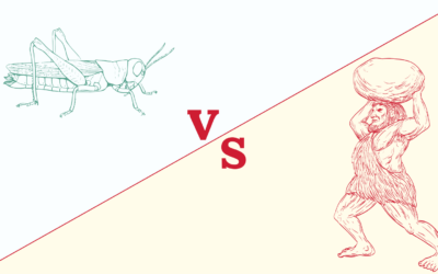 Grasshoppers and Giants: The Stories We Tell Ourselves