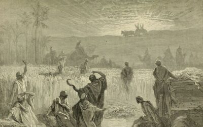 Of Gold and God